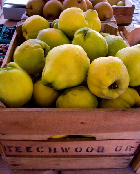 101017quincebeechwood.jpg